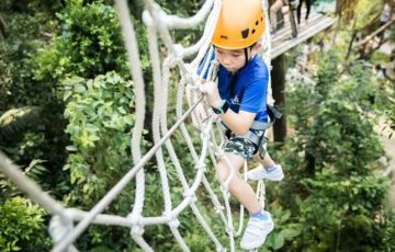 景區(qū)網(wǎng)紅類叢林穿越、魔網(wǎng)蹦床設備項目競爭力如何？