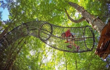 叢林穿越：超強刺激關卡，激發(fā)智慧和潛能