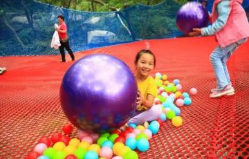 叢林魔網——一款適合任何人群的項目