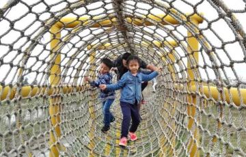 什么是叢林穿越？它的場地要求和安全標準是什么?